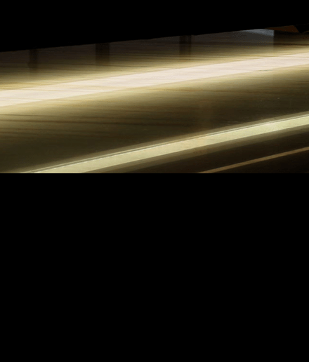 scanner5.feature2Alt